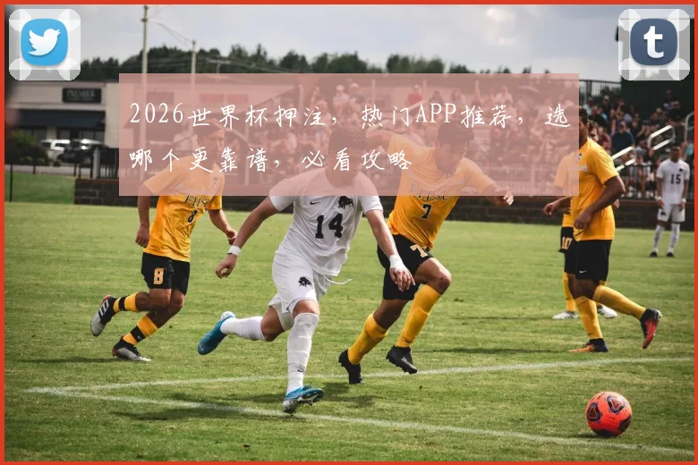 2026世界杯押注，热门APP推荐，选哪个更靠谱，必看攻略