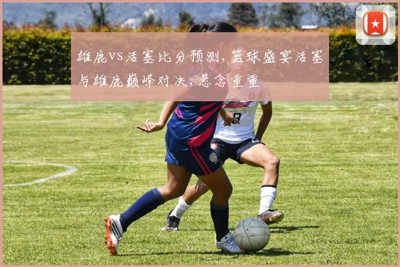 雄鹿vs活塞比分预测,篮球盛宴活塞与雄鹿巅峰对决,悬念重重