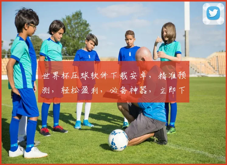 世界杯压球软件下载安卓，精准预测，轻松盈利，必备神器，立即下载
